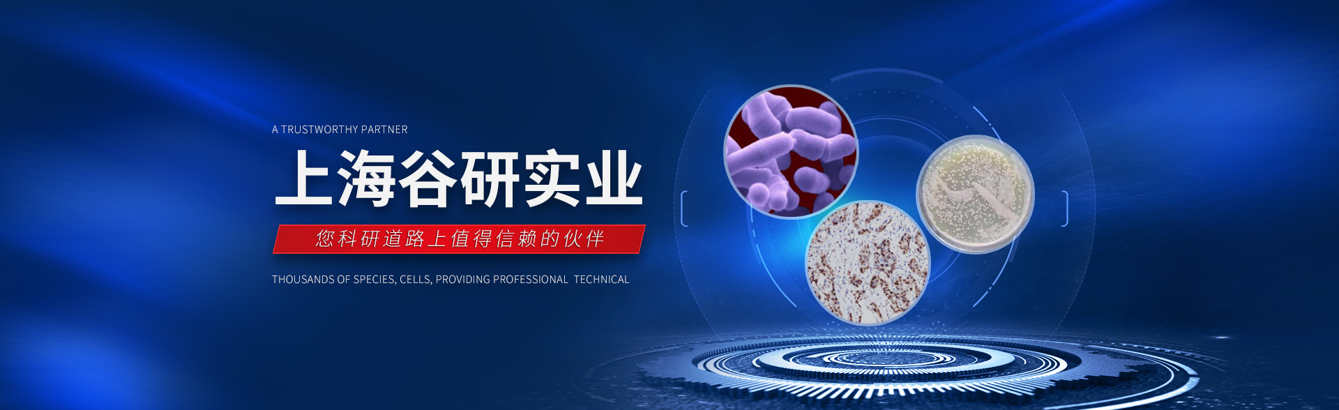 萬(wàn)向旋轉(zhuǎn)吊環(huán),歐盟CE安全認(rèn)證,360°旋轉(zhuǎn)